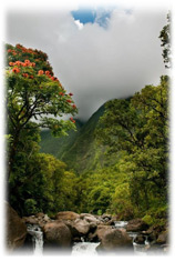 Stream and River Hiking