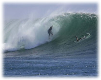 SURF EXCURSION 1/2 DAY